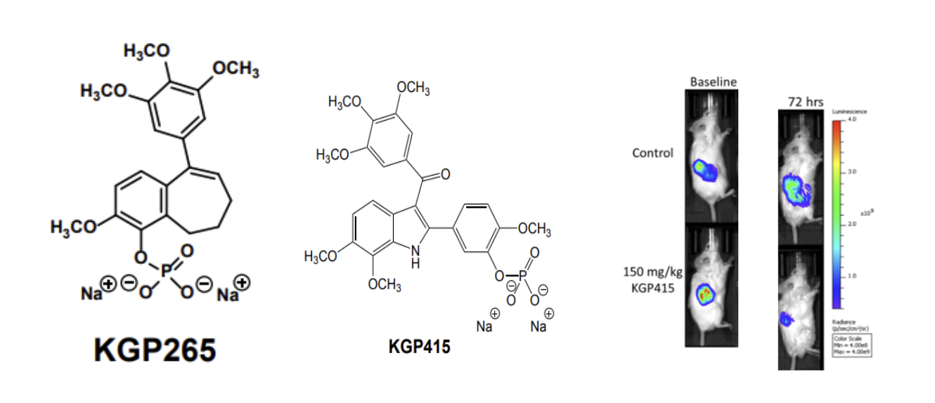 Vascular Disrupting Agents (VDAs) for Kidney Cancer